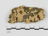 登錄號:F0013821藏品圖，第1張