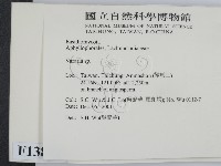 登錄號:F0013823藏品圖，第2張