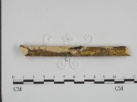 登錄號:F0013823藏品圖，第1張