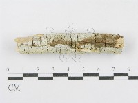 登錄號:F0013824藏品圖，第3張