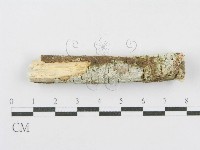 登錄號:F0013824藏品圖，第4張