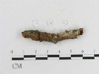 登錄號:F0013825藏品圖，第3張