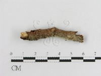 登錄號:F0013825藏品圖，第4張