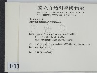 登錄號:F0013826藏品圖，第2張