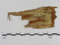 登錄號:F0013828藏品圖，第1張