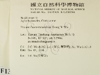 登錄號:F0013829藏品圖，第2張