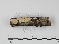 登錄號:F0013829藏品圖，第1張