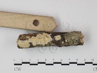 登錄號:F0013829藏品圖，第3張