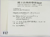 登錄號:F0013830藏品圖，第2張