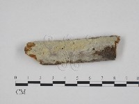 登錄號:F0013831藏品圖，第1張