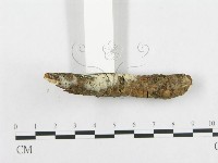 登錄號:F0013833藏品圖，第3張