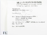 登錄號:F0013834藏品圖，第2張