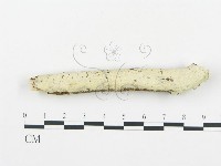 登錄號:F0013834藏品圖，第1張