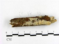 登錄號:F0013835藏品圖，第1張