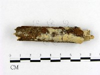 登錄號:F0013835藏品圖，第3張