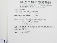 登錄號:F0013836藏品圖，第2張