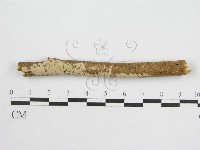 登錄號:F0013836藏品圖，第1張