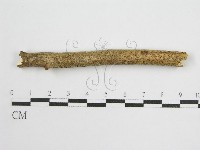 登錄號:F0013836藏品圖，第3張