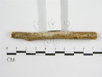 登錄號:F0013836藏品圖，第4張