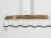 登錄號:F0013836藏品圖，第6張