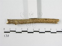 登錄號:F0013836藏品圖，第7張