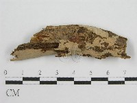 登錄號:F0013836藏品圖，第8張