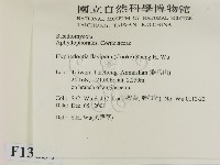 登錄號:F0013837藏品圖，第2張