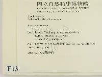 傑克菌屬藏品圖，第2張