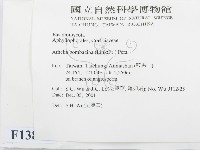 登錄號:F0013840藏品圖，第2張