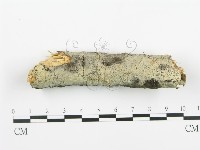 登錄號:F0013840藏品圖，第1張