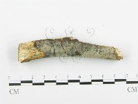 登錄號:F0013840藏品圖，第3張