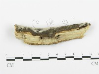 登錄號:F0013840藏品圖，第4張