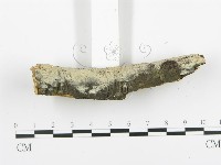 登錄號:F0013840藏品圖，第5張