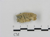 登錄號:F0013843藏品圖，第1張