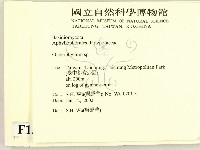 登錄號:F0013846藏品圖，第2張