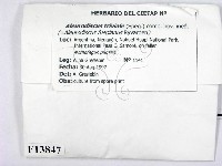 登錄號:F0013847藏品圖，第2張