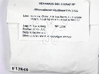 登錄號:F0013848藏品圖，第2張