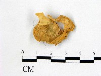 登錄號:F0013848藏品圖，第1張