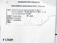 登錄號:F0013849藏品圖，第2張