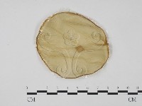 登錄號:F0013851藏品圖，第3張