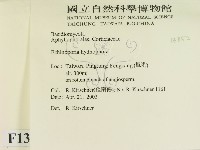 登錄號:F0013852藏品圖，第2張