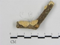 登錄號:F0013852藏品圖，第1張