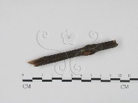 登錄號:F0013854藏品圖，第3張