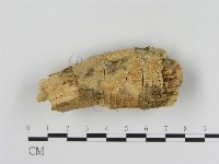 登錄號:F0013855藏品圖，第3張