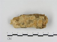 登錄號:F0013855藏品圖，第4張