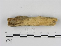 登錄號:F0013856藏品圖，第3張