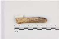 登錄號:F0013856藏品圖，第1張