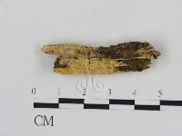 登錄號:F0013858藏品圖，第1張