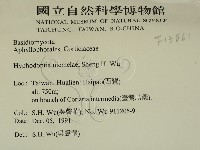 登錄號:F0013861藏品圖，第2張