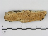 登錄號:F0013861藏品圖，第1張